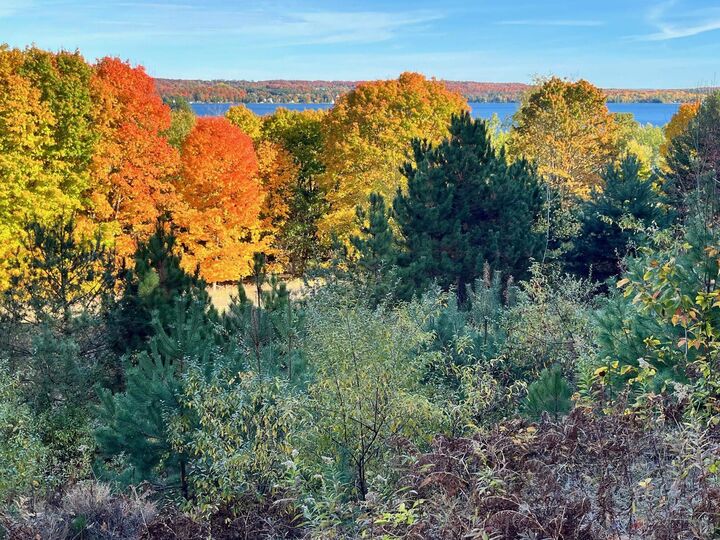 Property Photo:  E Hidden Beech Drive  MI 49621 