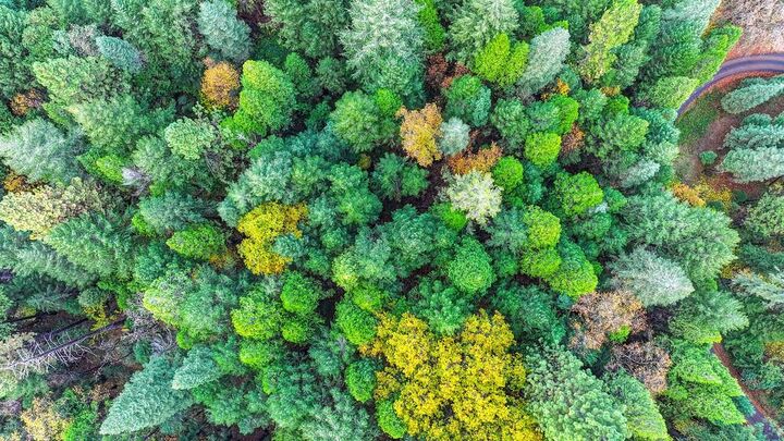 Property Photo:  0 17534 Lightfoot Way  CA 95959 