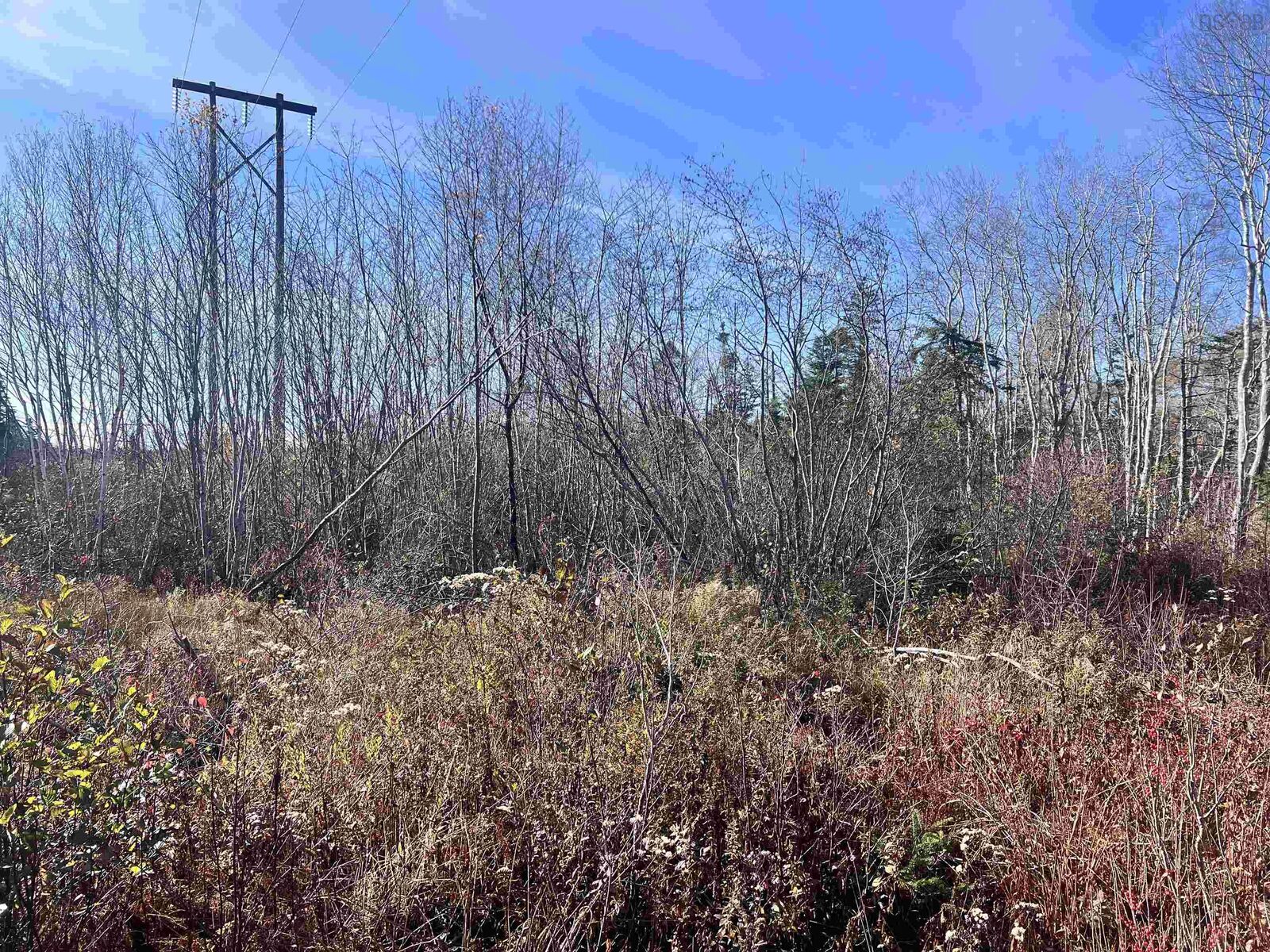 Property Photo:  Lot No 3 Highway  NS B0T 1L0 