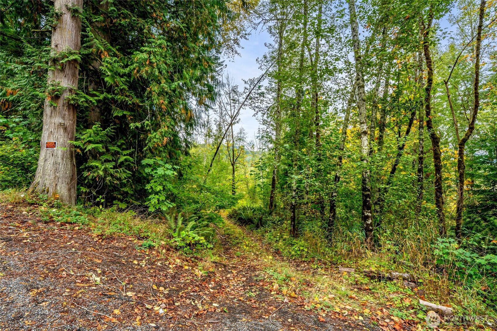 Property Photo: 0 Mineral Hill Road WA 98356