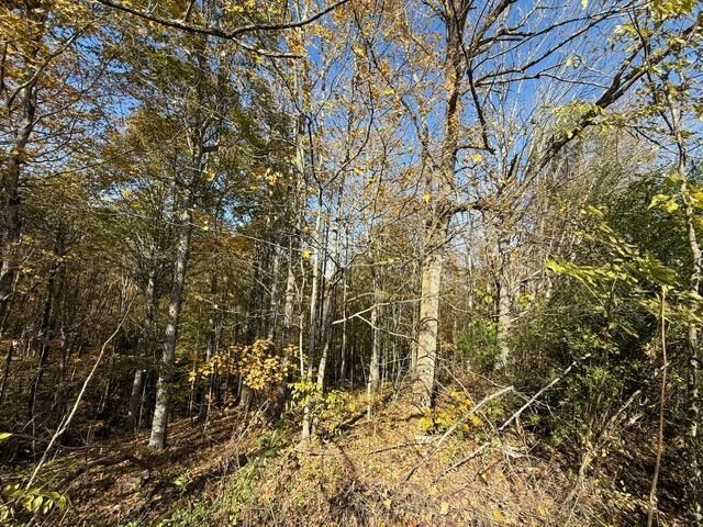 Property Photo:  1520 Gordon Branch Road  KY 42166 