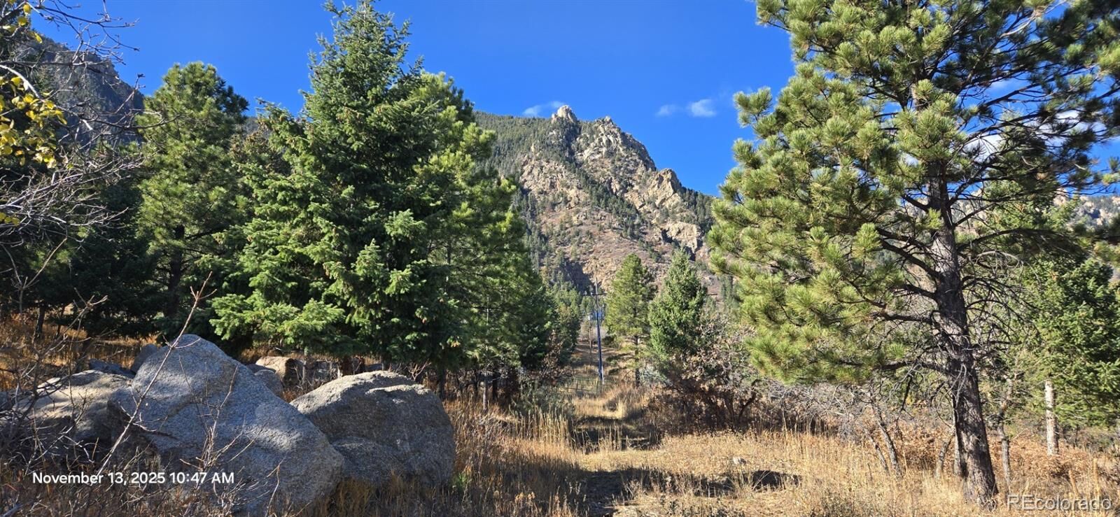 Property Photo:  390 Irvington Court  CO 80906 