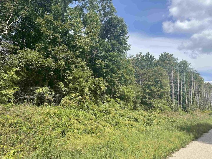 Property Photo: Lots Carroll Rd, Highway 81 WI 53576