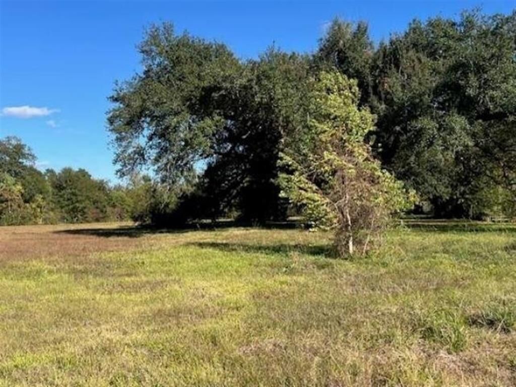 Property Photo: Perry Street LA