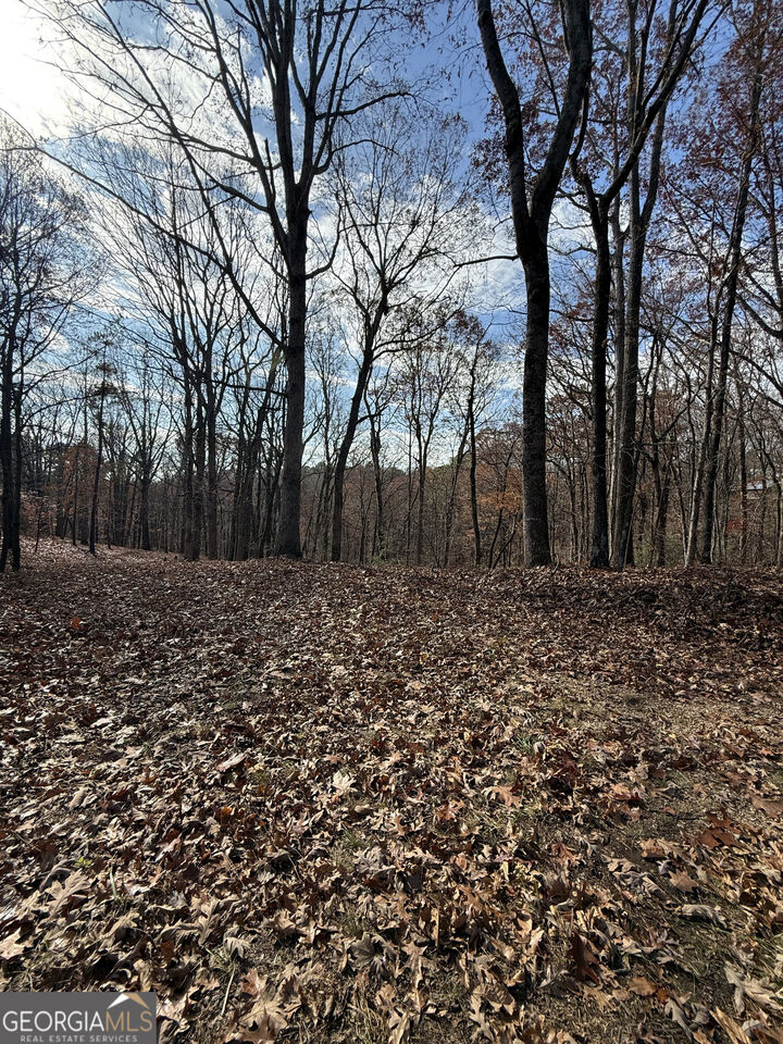 Property Photo:  0 Orchard Road  GA 30143 