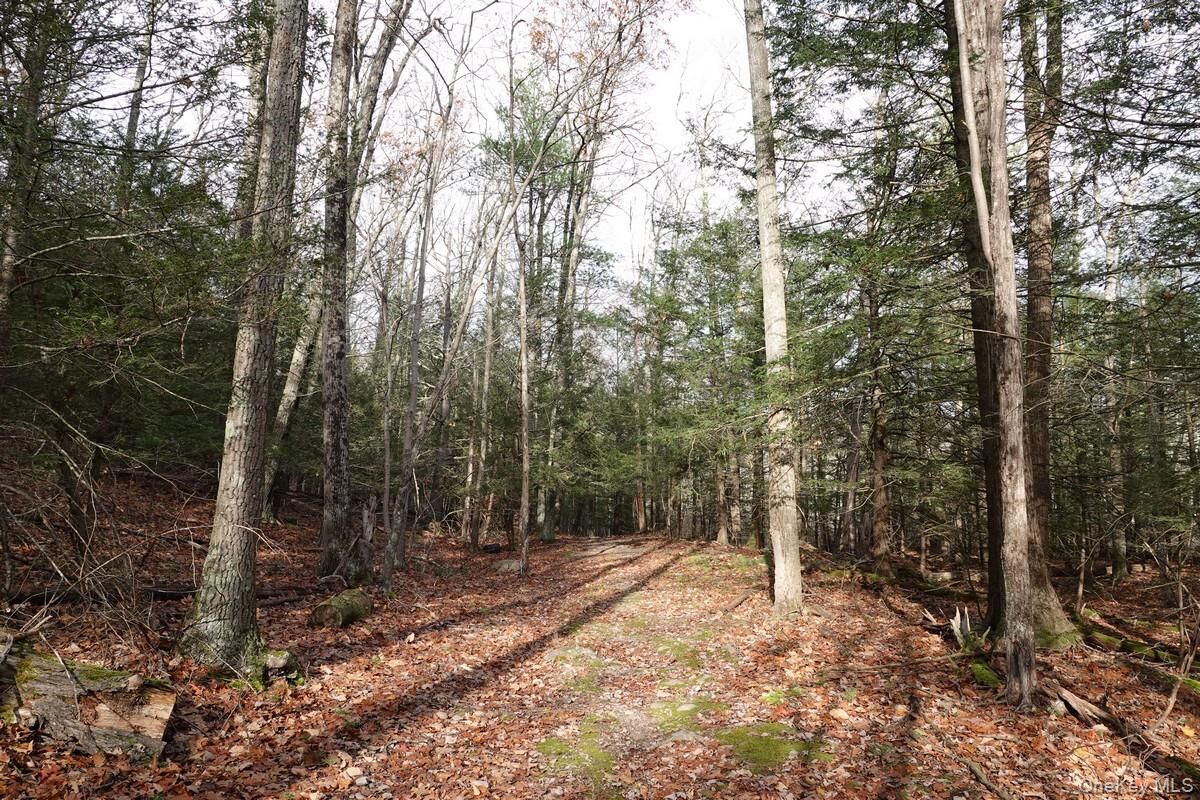Property Photo:  738 Manorville Road  NY 12477 