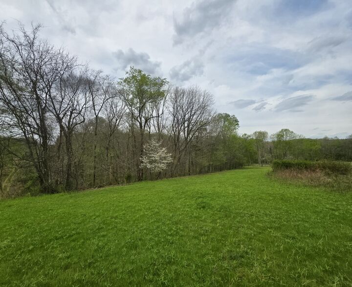 Property Photo:  0 Old Highway 48  TN 37040 