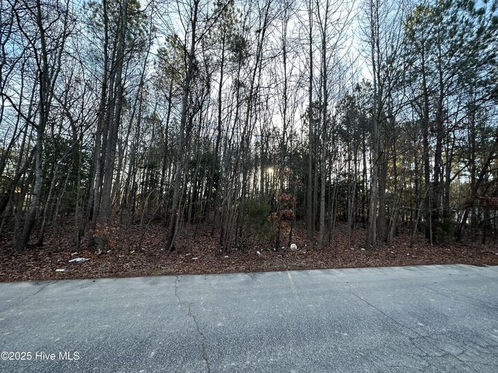 Property Photo:  Tbd Pine Street  NC 27820 