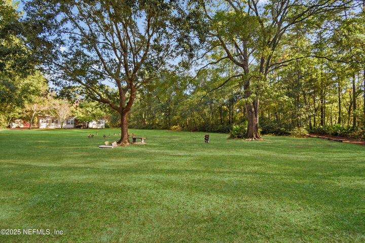 Property Photo: 11595 Normandy Boulevard FL 32221