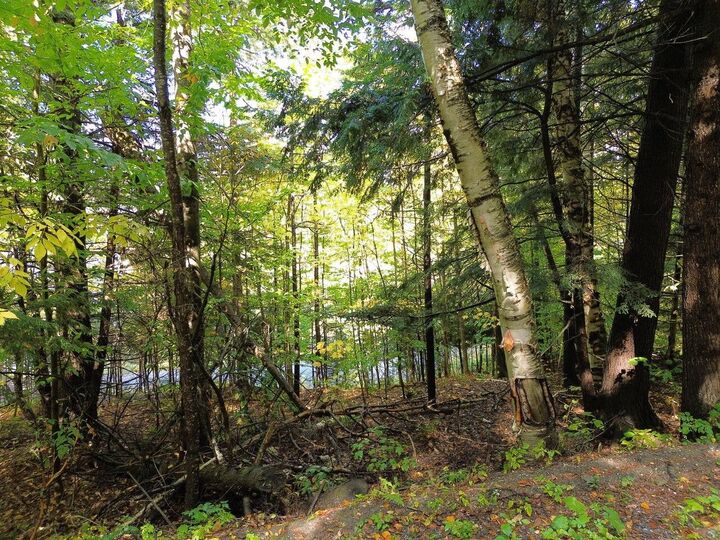 Property Photo:  350 Anne Burns Road  VT 05674 