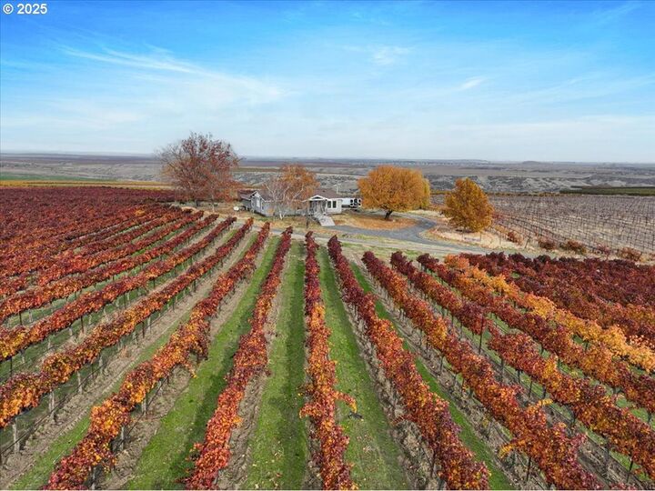 499 Alderdale Rd  Prosser WA 99356 photo