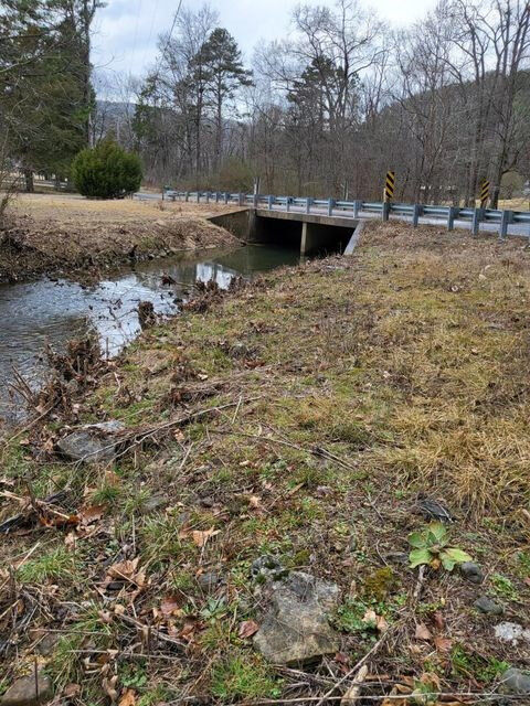 Property Photo:  0 Hudlow Loop Road 4.1 Acres  TN 37327 