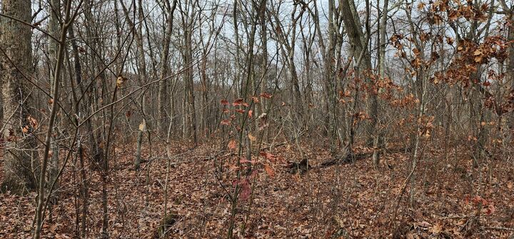 Property Photo:  Richards Road  CT 06757 