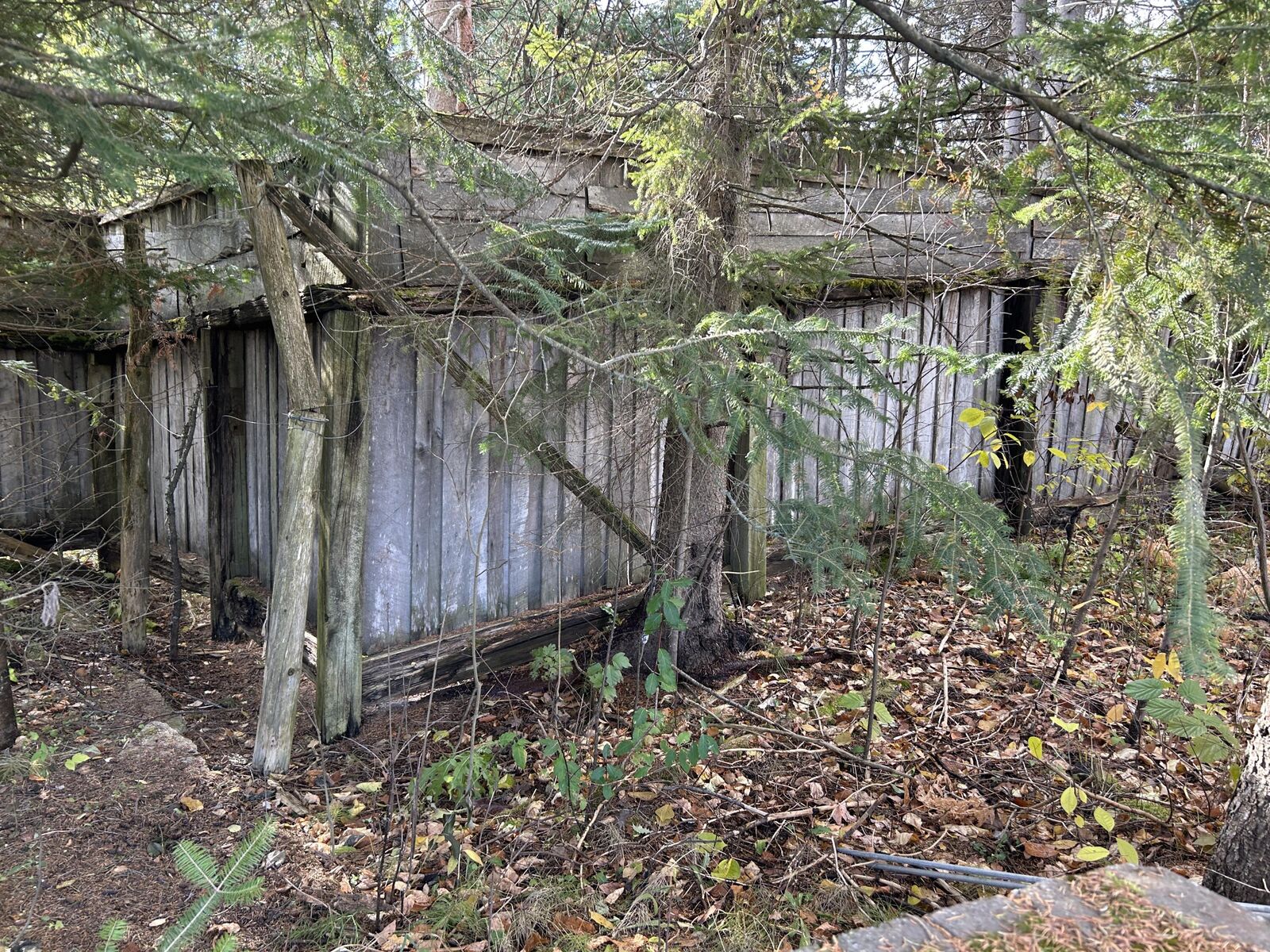 Property Photo:  14721 Trowbridge Road  MI 49799 