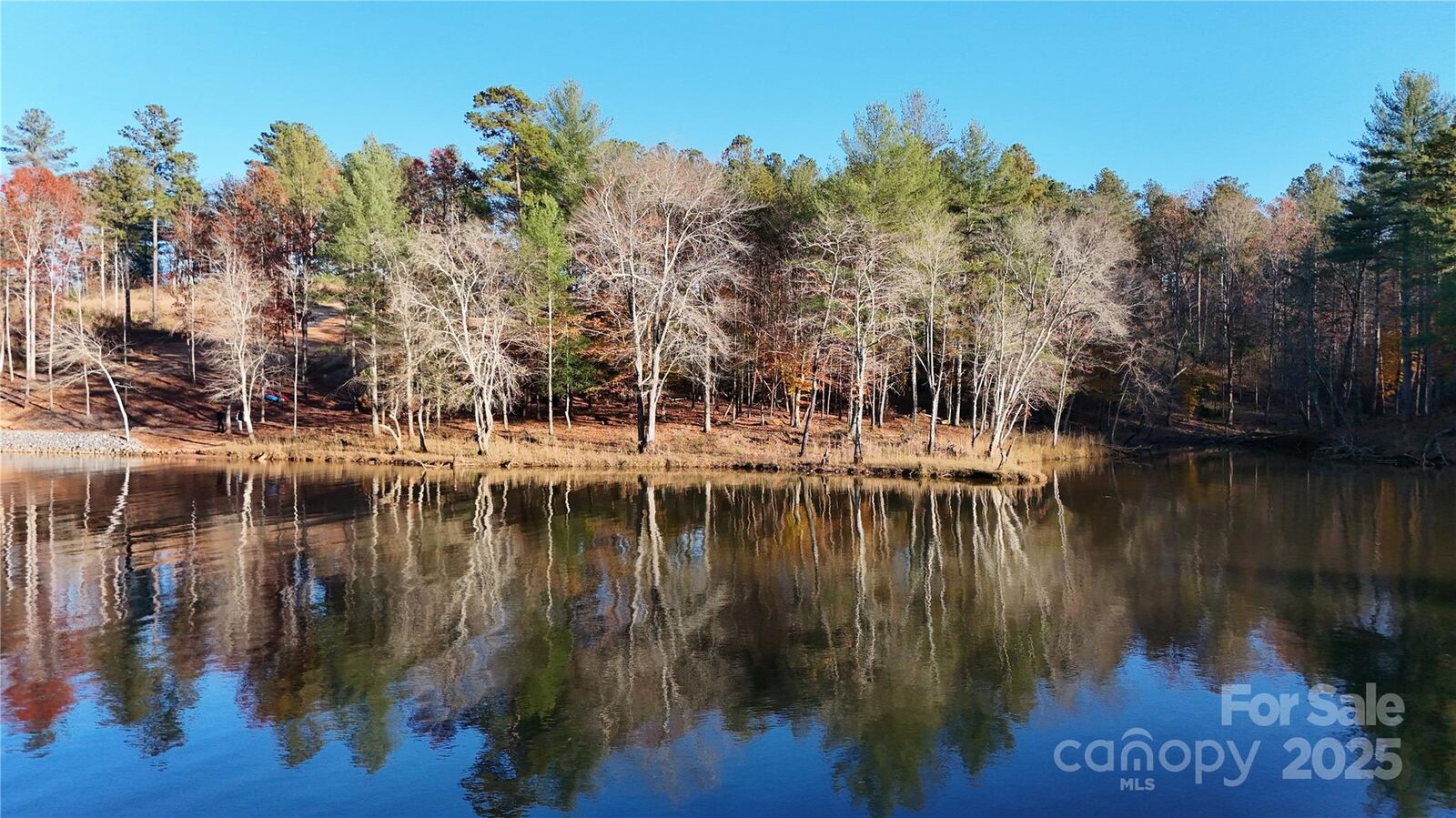 Property Photo:  3297 Pyramid Peak Trail 217  NC 28612 