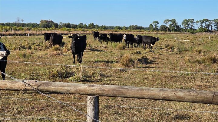 Property Photo:  6790 6th Road  FL 33935 