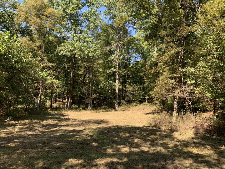 Property Photo:  Branch Road  MO 65251 