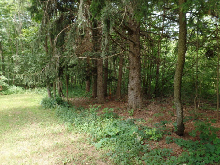 Property Photo:  Vl Blue Star Highway  MI 49408 