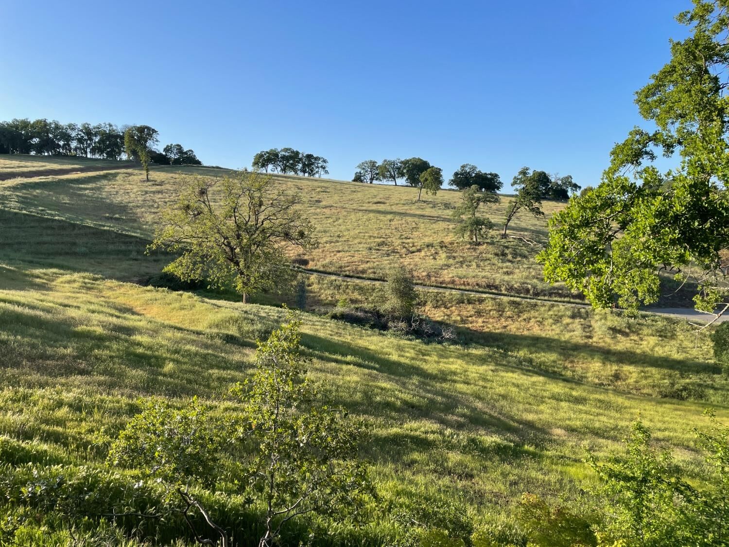 Property Photo: 52 David Drive CA 95685