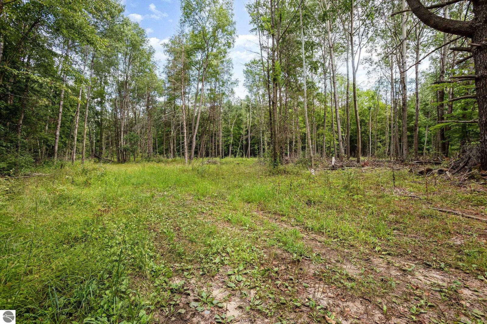 Property Photo:  Tbd E Klees Road  MI 48818 