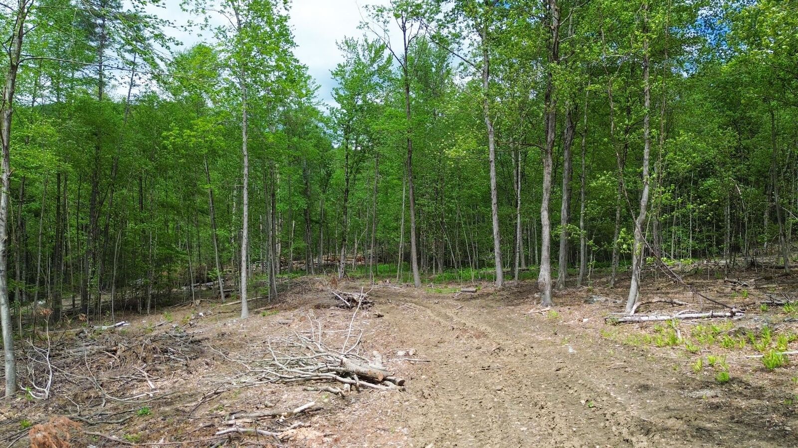 Property Photo:  Lot 26-3 Plain Road  NH 03451 