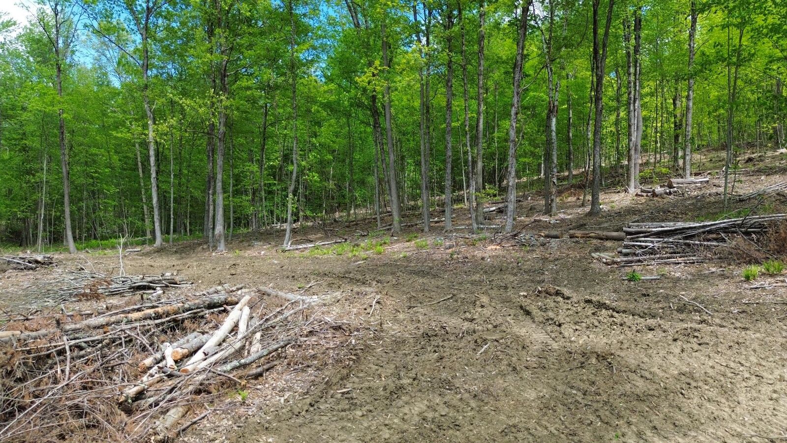 Property Photo:  Lot 26-2 Plain Road  NH 03451 