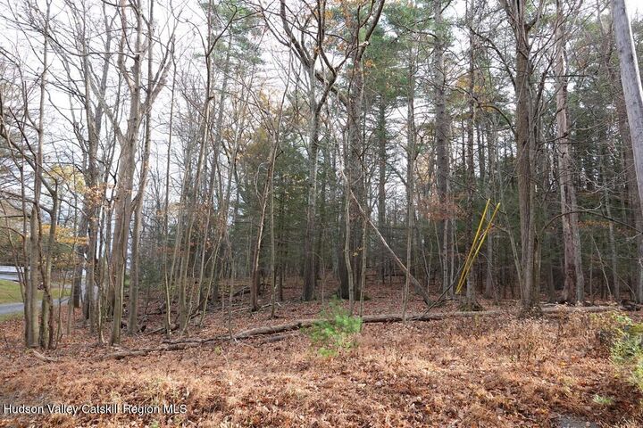 Property Photo:  0 Manorville Road  NY 12477 