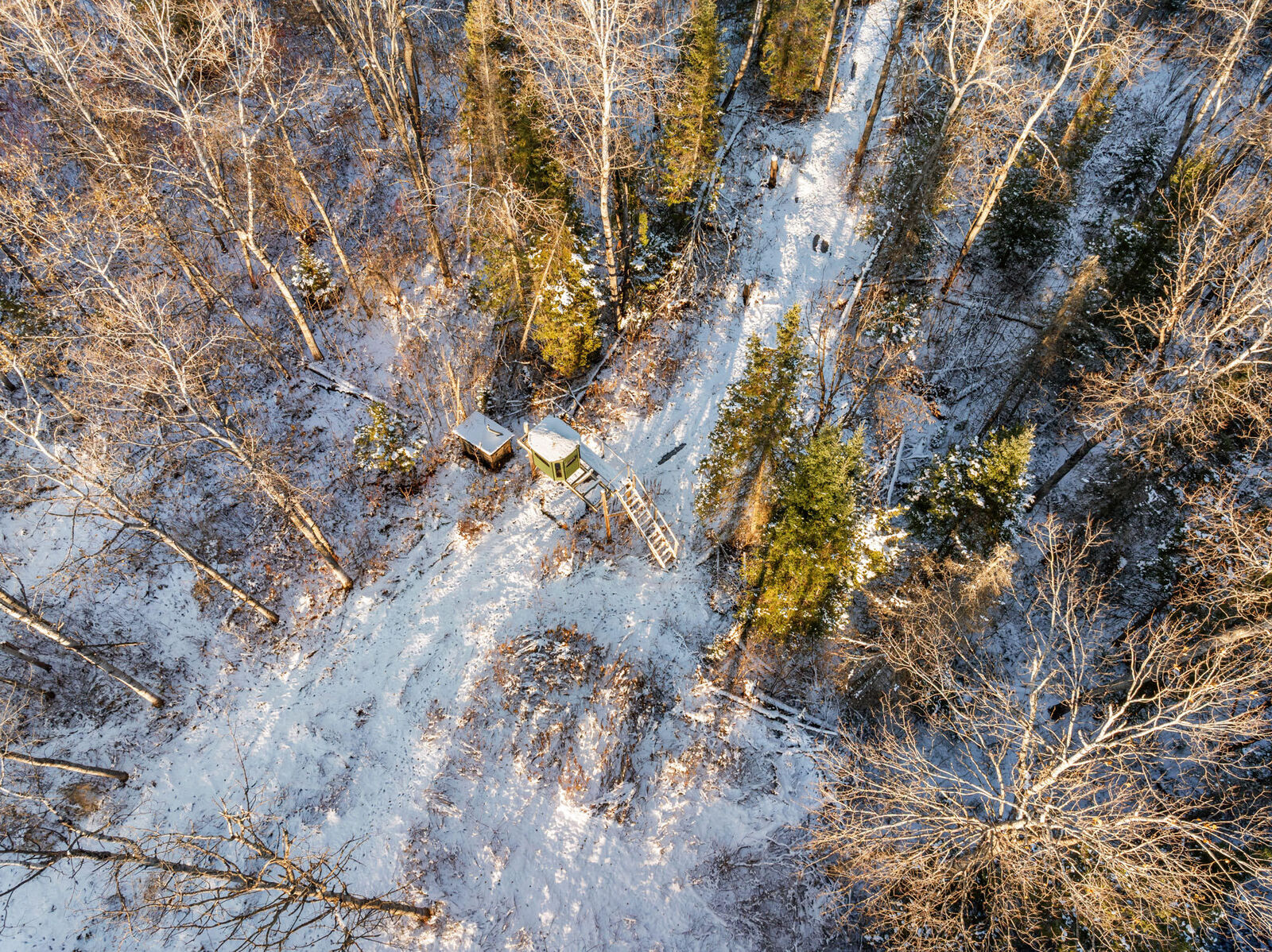 Property Photo: V/L 18 Acr Trowbridge MI 49799