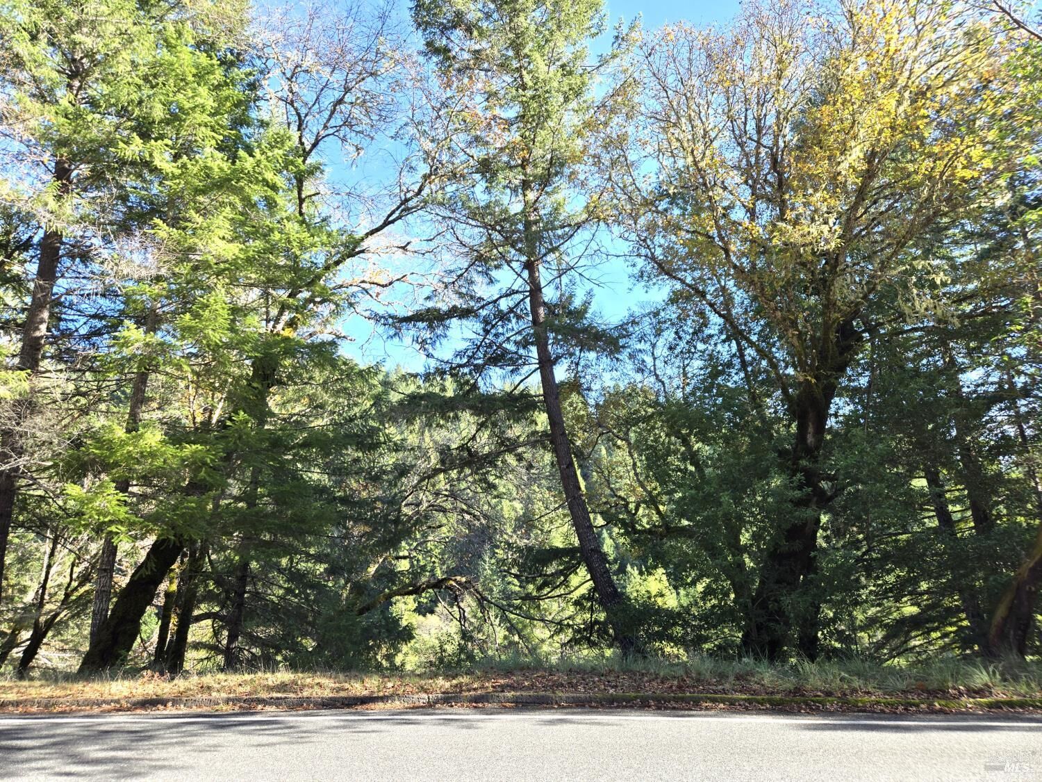 Property Photo:  2713 Primrose Drive  CA 95490 