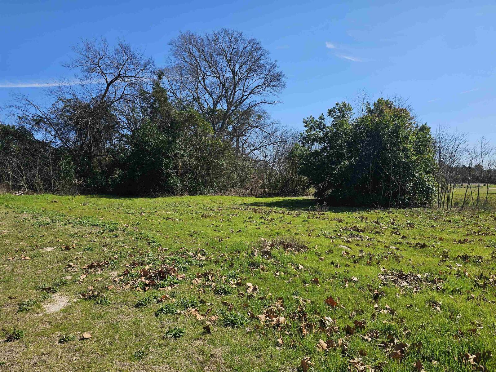 Property Photo:  Tbd Fm 1002 & Pr 3811  TX 75755 