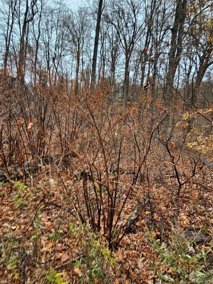 Property Photo:  73 Sylvan Trail  NY 10950 