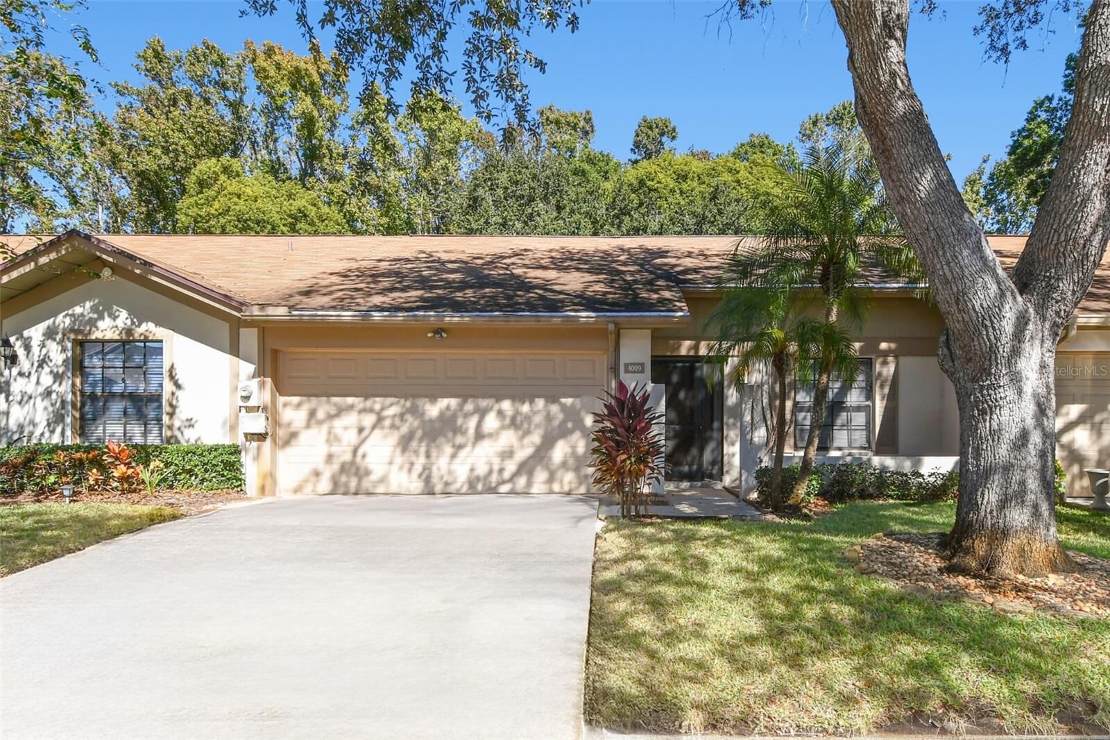 Property Photo:  4009 Shoreside Circle  FL 33624 