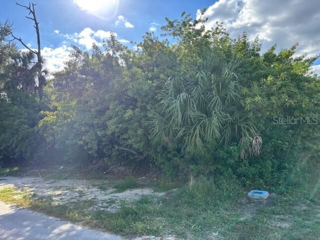 Property Photo:  4363 Boggs Street  FL 33948 