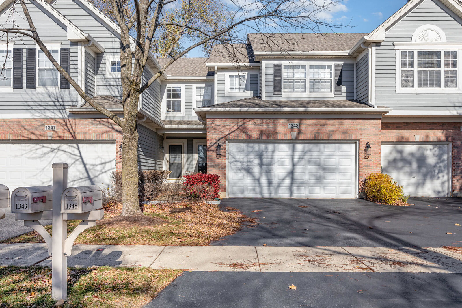 Property Photo: 1343 Danada Court IL 60563