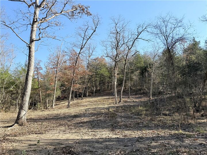 Property Photo:  Owens Lane  AR 72668 