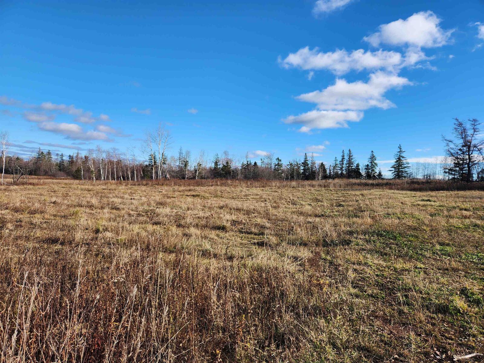 Photo de la propriété:  1292 Lorne Valley Road  PE C0A 1G0 