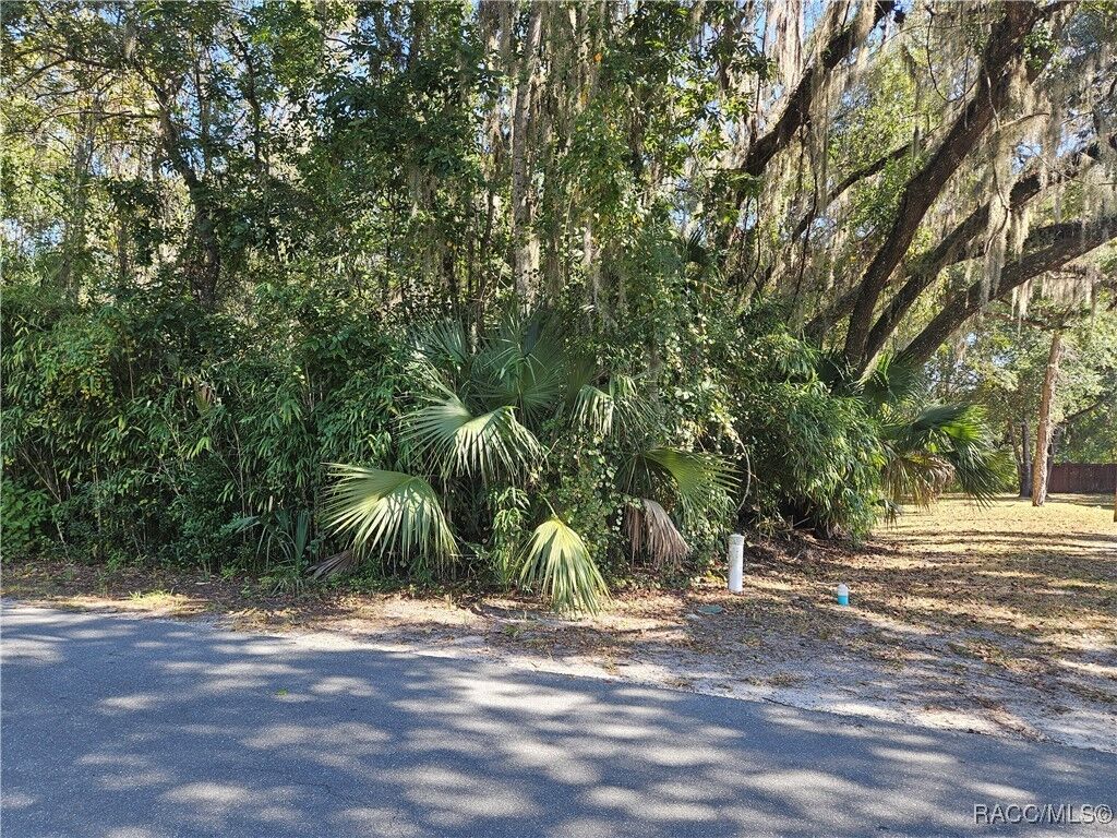 Property Photo:  835 N Gardenview Terrace  FL 34429 