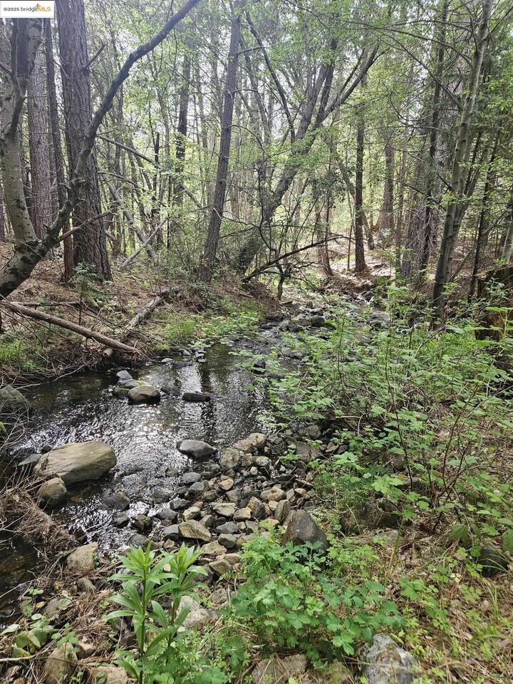 Property Photo: 00 Italian Bar Rd CA 95383