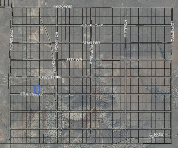 Property Photo:  066020018 Bitterroot Street  NV 89801 