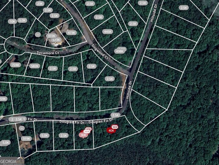 Property Photo:  105 Douglas Fir Drive  GA 30183 