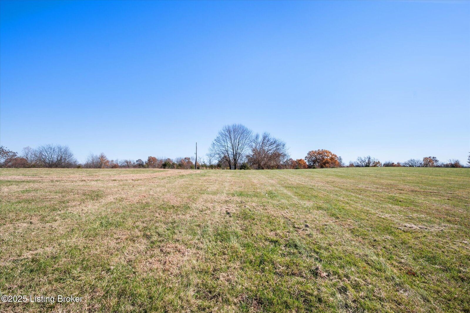 Property Photo: 530 Gordon Drive KY 40013