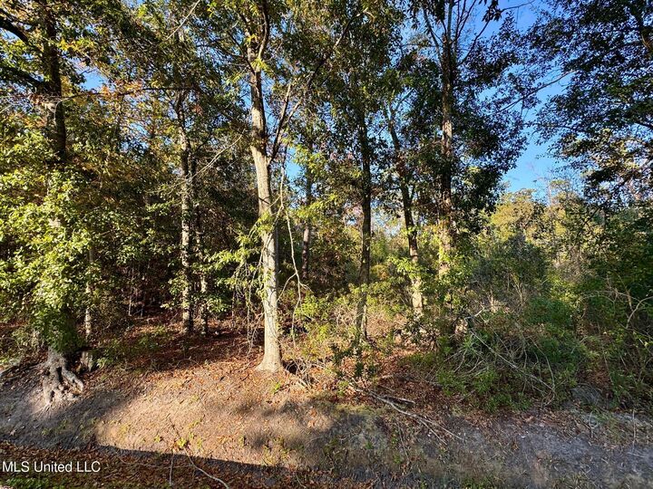 Property Photo: Sycamore Street MS 39520