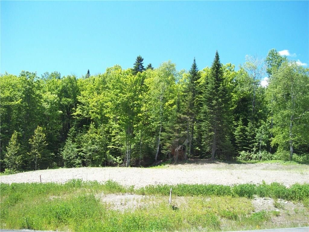 Property Photo:  0 Aroostook Road  ME 04781 