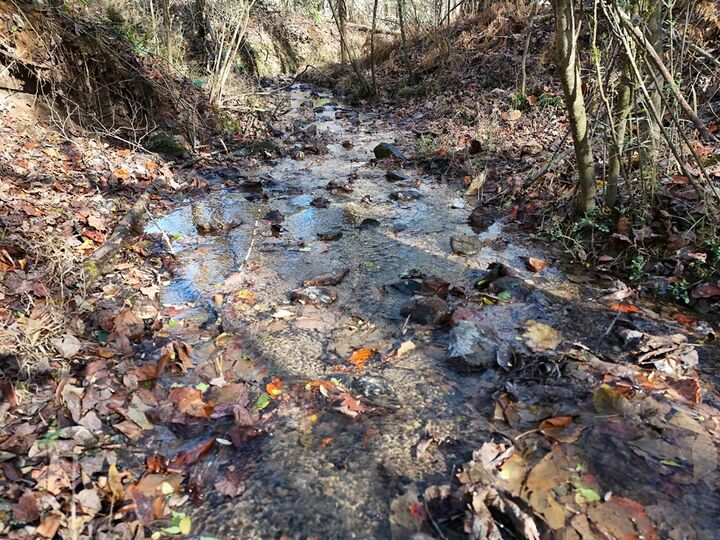 Property Photo: Lt 24 Winding Creek Road GA 30513