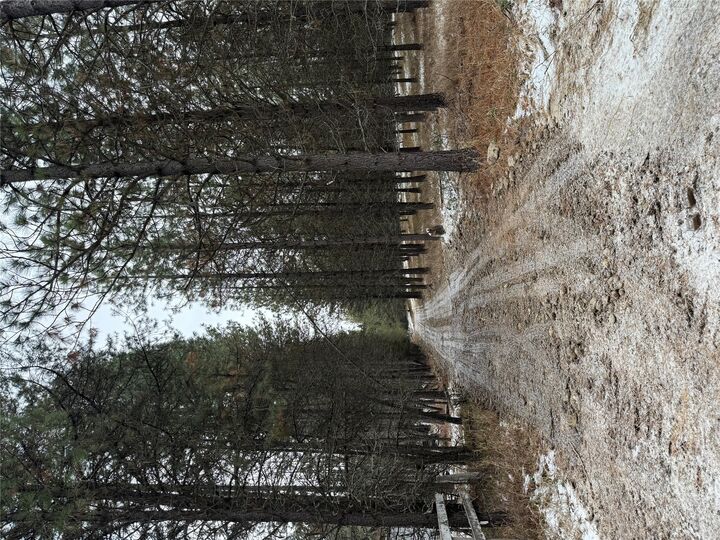 Property Photo:  131 Break Road  MT 59923 