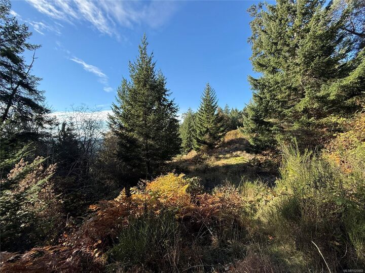 Property Photo: Lot 1 South Rd BC V0R 1X6
