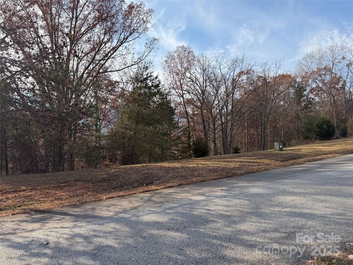 Property Photo: 90 Chestertown Drive 90 NC 28756