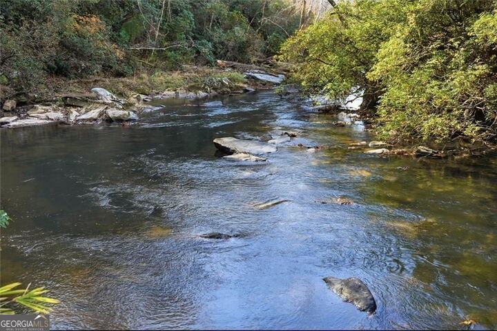 Property Photo:  0 Lower Dowda Mill Road  GA 30143 