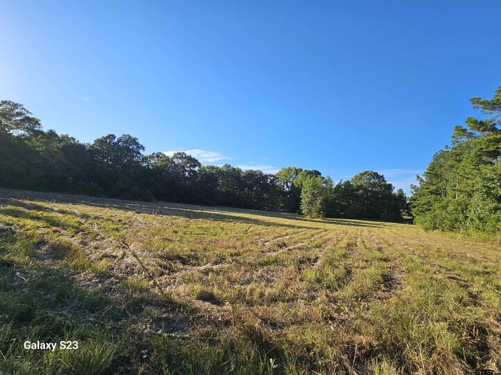 Property Photo:  15830 Shady Creek Road  TX 75705 