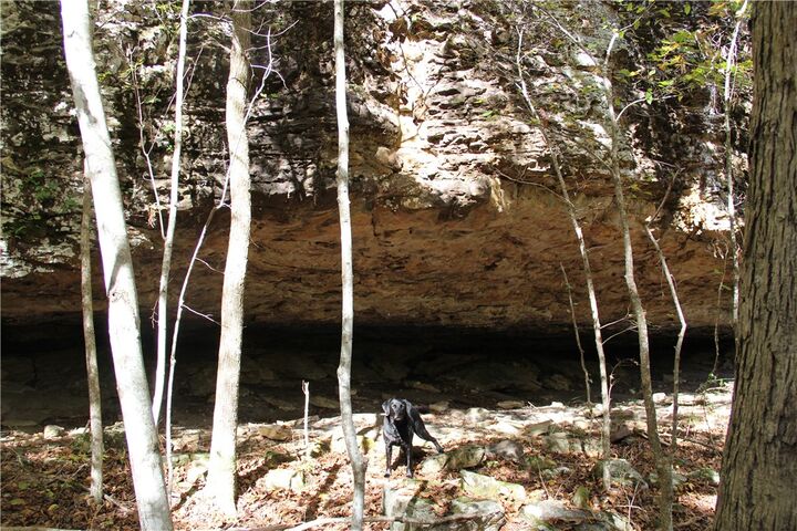 Property Photo:  Cr 935  AR 72616 